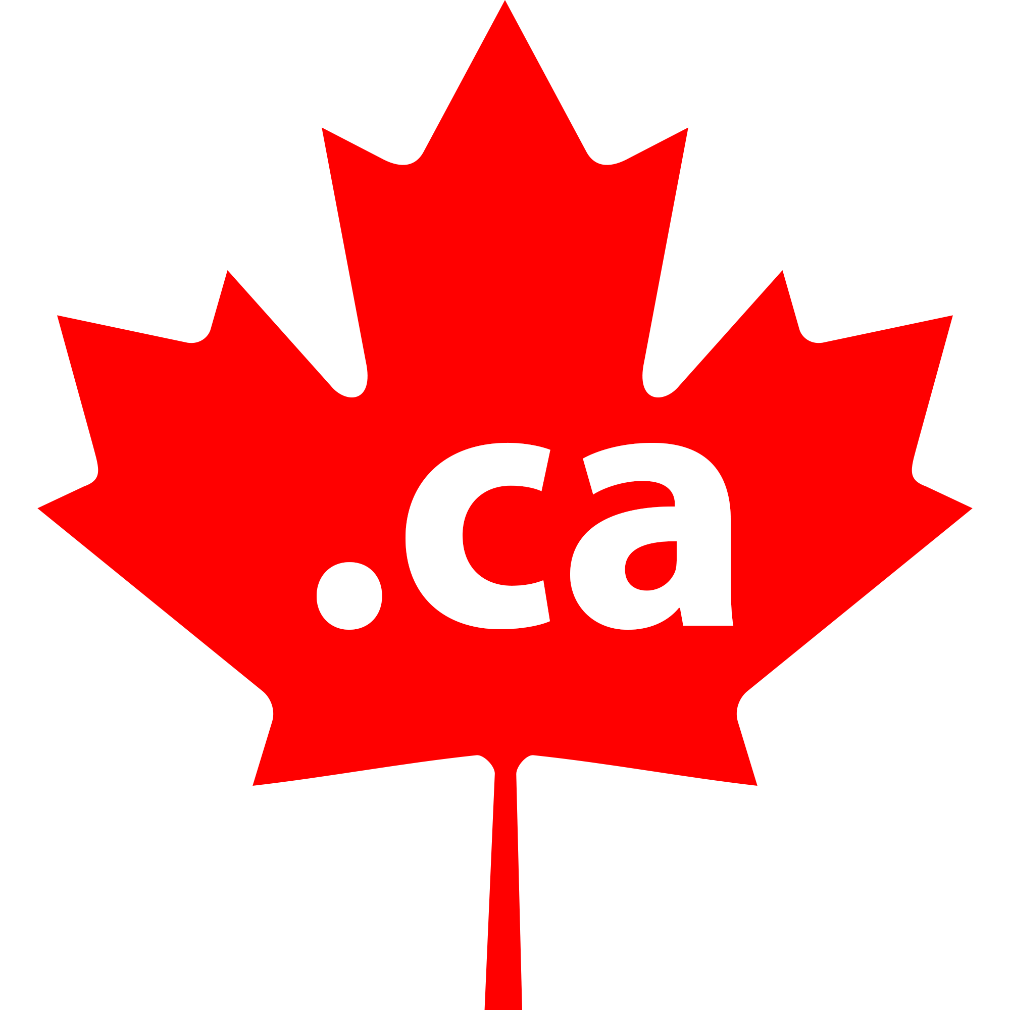 icon-zap-globel-canada